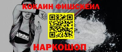 стаф Можга