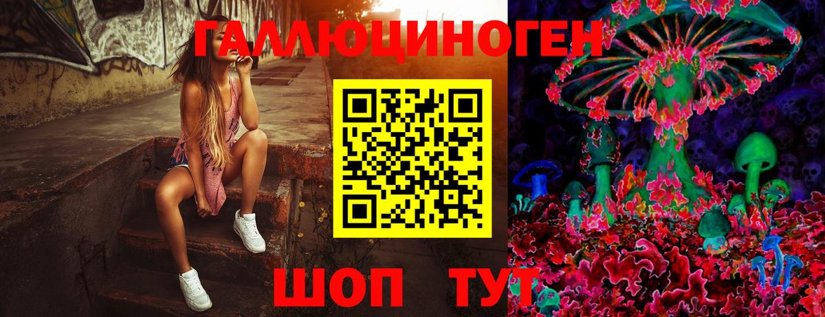 Псилоцибиновые грибы GOLDEN TEACHER Рассказово