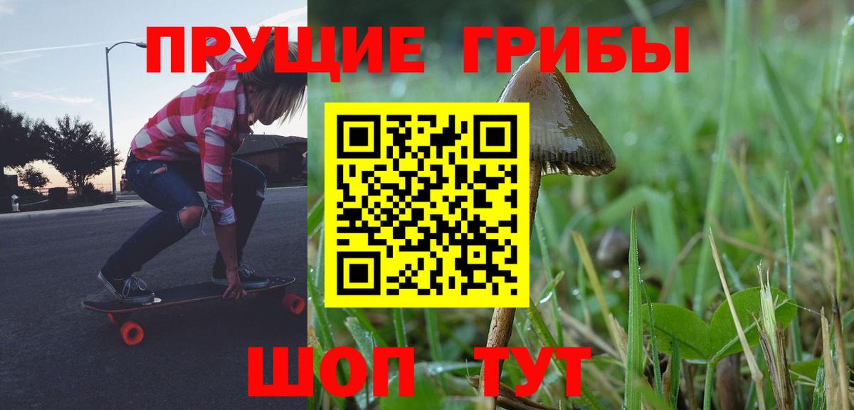 Псилоцибиновые грибы Psilocybe  Вход с VPN  купить   Рассказово 